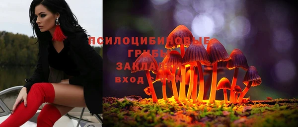 прущие крисы Абаза