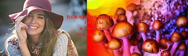 кокс Абинск